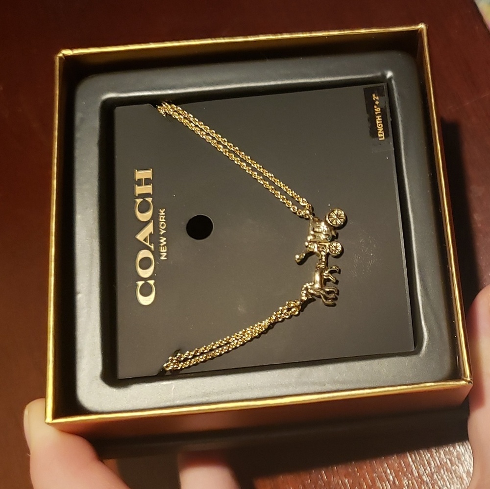 Coach double chain carriage necklace